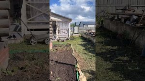 Показываю и рассказываю о своём участке #уралочка #свойдом #своимируками