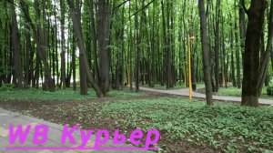 WB Курьер: Сколько заработал 31 мая?