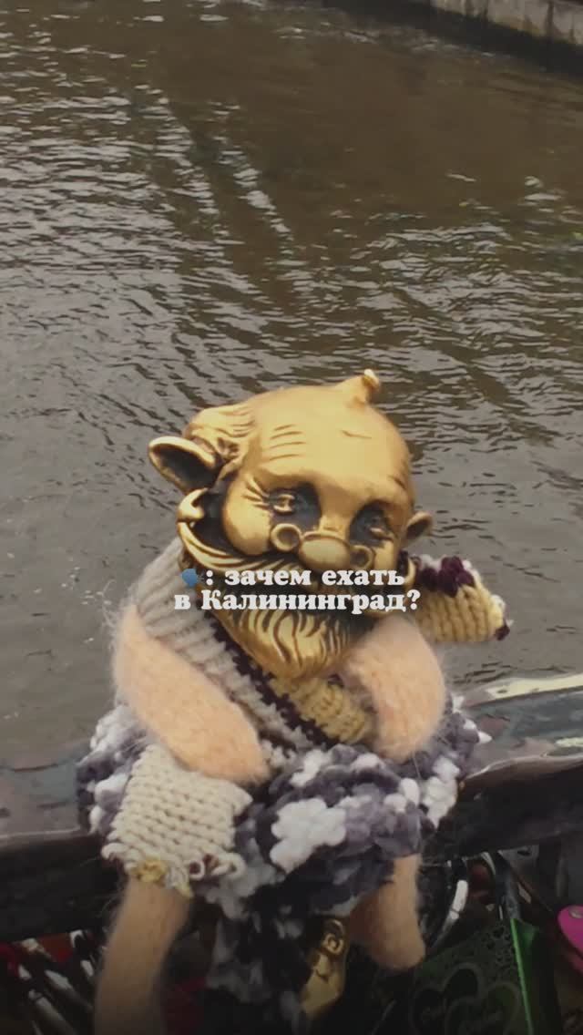 Зачем ехать в Калининград?