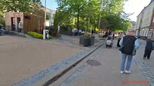 Кошка трубочиста Зеленограда
