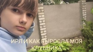 ИРЛ И МОЯ 🍓 КЛУБНИКА