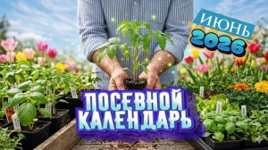 Лунный посевной календарь на ИЮНЬ 2026 года
