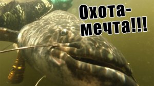 ТАКОЙ ОХОТЫ ЕЩЁ НЕ БЫЛО!!! ЛУЧШЕЕ ОТКРЫТИЕ СЕЗОНА!!! ПОДВОДНАЯ ОХОТА 2026!!! 2026!!!