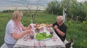 Наталья Губарева. КТО МНЕ ПОМОГАЕТ  С УБОРКОЙ В ДОМЕ ..