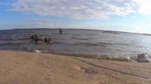 ХОЛОДНОЕ БЕЛОЕ МОРЕ! РЫБА ПРЯЧЕТСЯ ПОД КАМНЯМИ! Я ЕЁ НАШЁЛ ХОТЬ И ВЕТЕР! ИДУЩИЙ ПО ВОДЕ!
