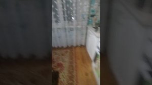 убираюсь на кухне