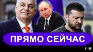 Разозлились все. Кажется сработало! У Зеленского подкосились ноги.