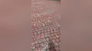 31 мая 2026 День Святой Троицы