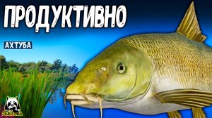 Еле успевал реагировать на такой продуктивный клёв #рр4