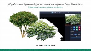 CD25. Обработка изображений в Corel Photo-Paint