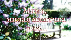 Мама, милая мамочка моя... Автор слов: Наташа Шакамалова