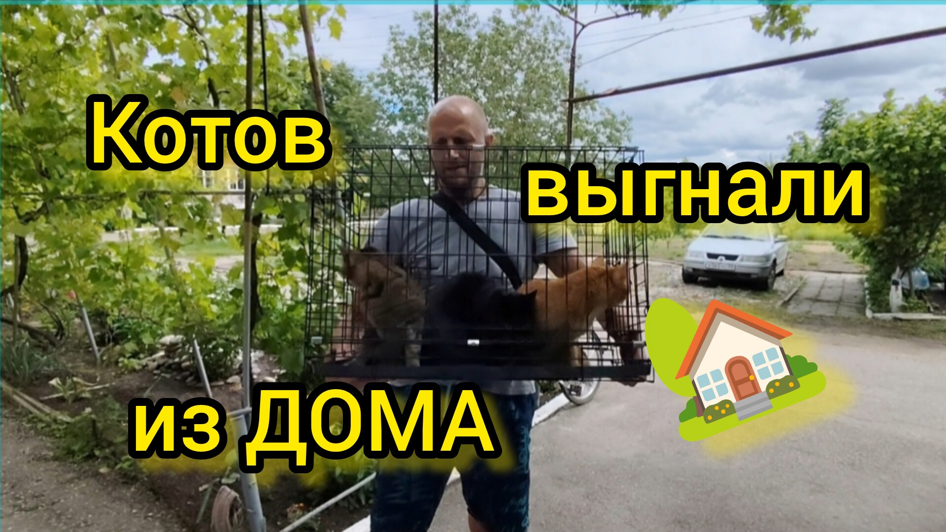 Истинная ПРИЧИНА нашего ПЕРЕЕЗДА из Ейска/Коты в ШОКЕ от ПЕРЕЕЗДА/Готовим еду на коленке смотреть онлайн