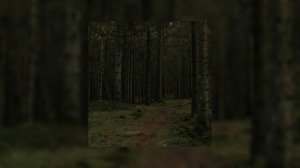 ещё переснка-_0