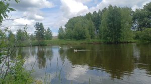 бердвотчинг на рыбалке