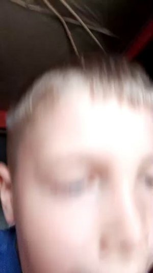 весилимся