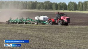 70% посевной площади засеяли аграрии в Курганской области