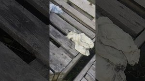 я снял видео про Тимофея где у него быстро меняются эмоции