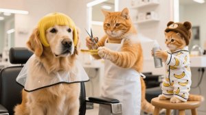 Мама-кошка и рыжий котенок работают в зоосалоне, чтобы оплатить обучение в школе, а затем встречают