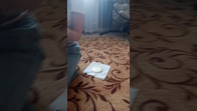 наш цыплëнок смотреть онлайн