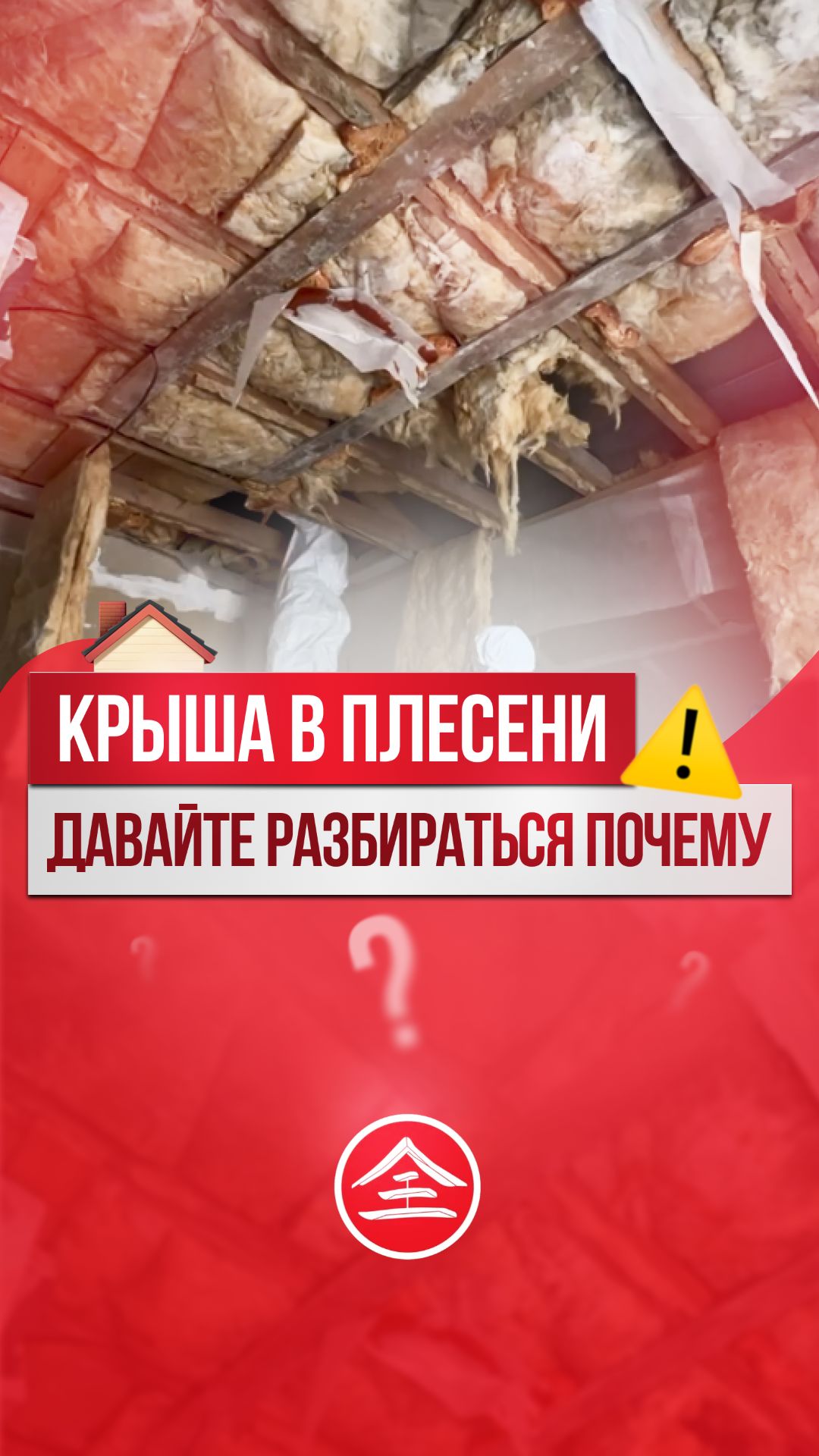 Ошибка в утеплении чуть не «убила» стропила!😱