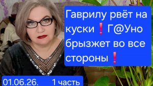 1 часть. Гаврилу РВЁТ НА КУСКИ😡❗️Г@Уно брызжет во все стороны❗️