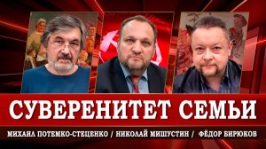 Принудительная цифровизация образования, или Что грозит детям и стране | Мишустин | Потемко-Стеценко