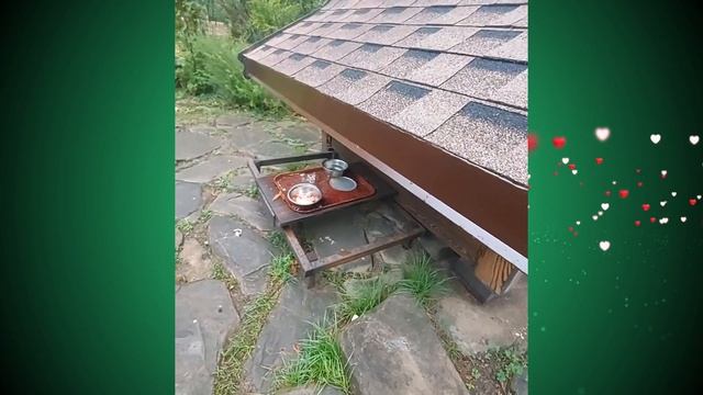Кошкин дом смотреть онлайн