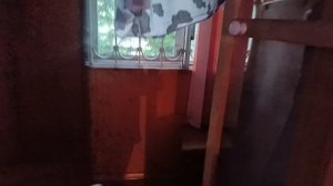 Влог. Обо всем понемногу. Сирена.Повязала.