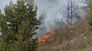 Плановые отжиги сухой травы продолжают в Братске