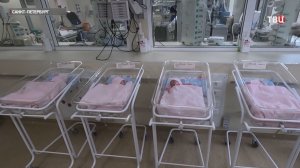 В Петербурге из роддома выписали четырех девочек-близняшек