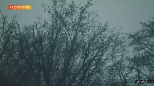 ПОГОДА В ПЕТРОПАВЛОВСКЕ 30 МАЯ • БЕЗ КОММЕНТАРИЕВ