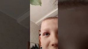 разговор с алисой