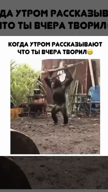 2 смотреть онлайн