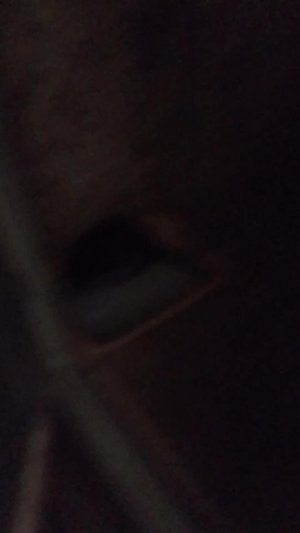 смешные мемы про моего котика Муся его зовут