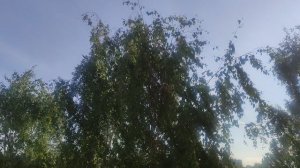 СЕНСАЦИЯ - 1 июня вот и наступило лето 2026 года.... Как обещал ☀️ в небе.... Прогноз сбылся.