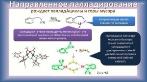 Чепраков А.В. - Координационные соединения переходных металлов - 10. Реакции CH-связей