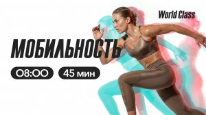 МОБИЛЬНОСТЬ с Альбертом Даниловым | 3 июня 2026 | Онлайн-тренировки World Class