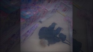 CUPSIZE - целую тебя