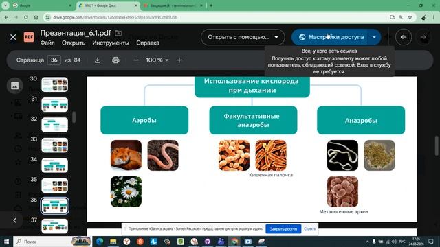 6 1 2 типы размножения организмов