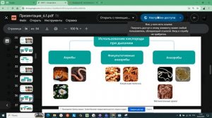 6 1 2 типы размножения организмов