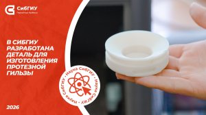 В СибГИУ разрабатывают комплектующие для протезов