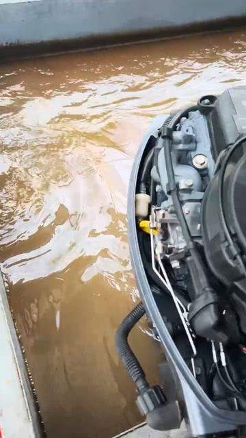 запуск лодочного мотора Yamaha F9.9 смотреть онлайн