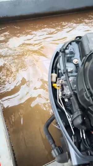 запуск лодочного мотора Yamaha F9.9