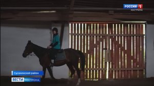 Костромской конезавод – старейший в России – отметил 135 лет со дня основания