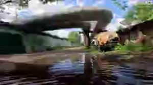 aAx9XwIAAAA.mp4