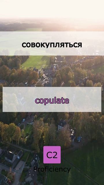 📈 Твой уровень растет! +5 слов C2 (18 June 2026)