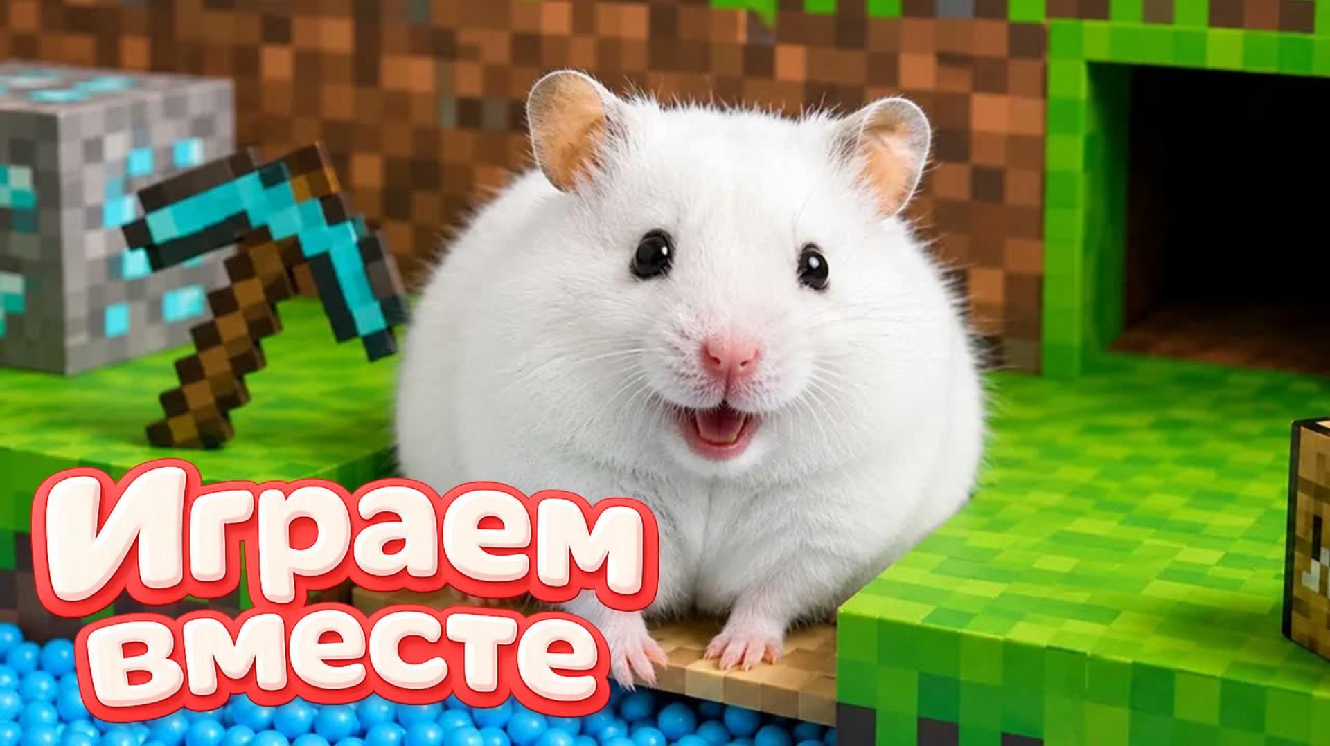 ХОМЯК ВЫБИРАЕТСЯ ИЗ СЕКРЕТНОЙ ХОМЯЧЕЙ ТЮРЬМЫ !! Играем ВМЕСТЕ ! Супер лабиринт для хомяка №11 смотреть онлайн