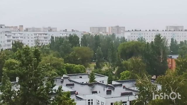 Летний дождь..