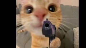 эдит l gdplay