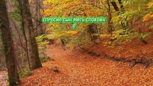 Притча о матери и сыне.